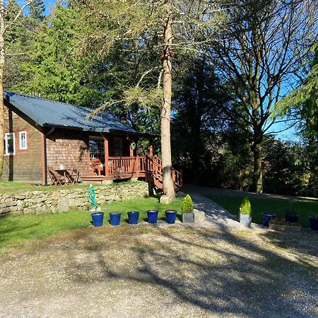 Willow Lodge Dublin Luaran gambar