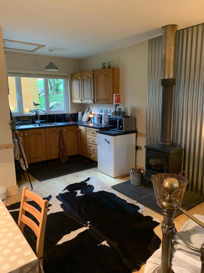 Willow Lodge Dublin Luaran gambar