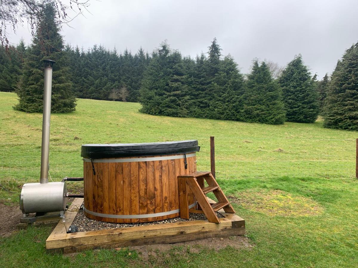 Willow Lodge Dublin Luaran gambar