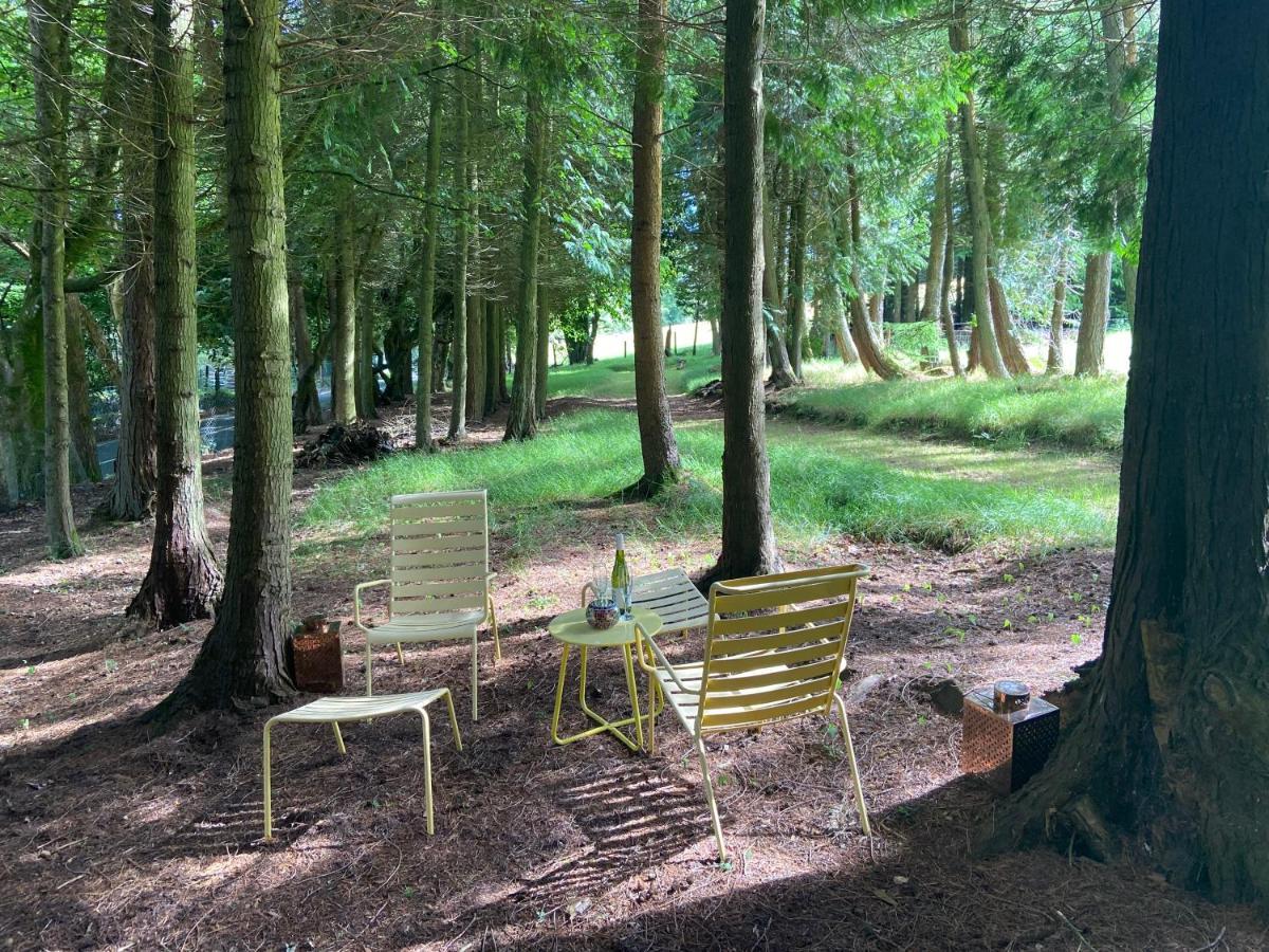 Willow Lodge Dublin Luaran gambar