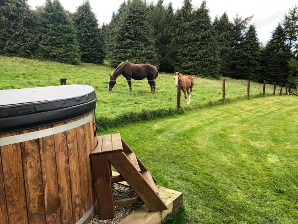 Willow Lodge Dublin Luaran gambar